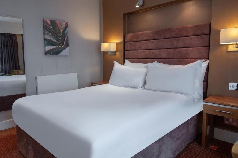Deluxe Double Room image 3