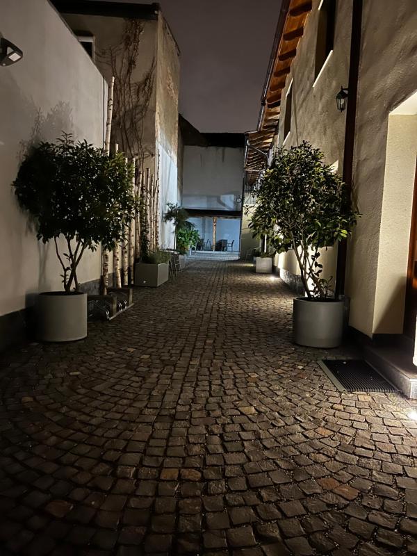 Old Town Cataleya - image 12