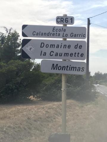 La cactée singulière - image 18