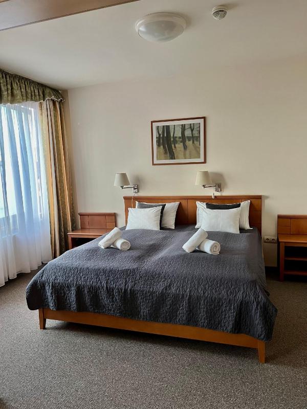 One-Bedroom Suite image 1