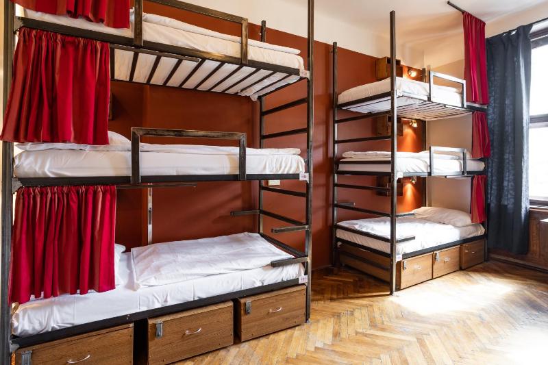 Bunk Bed in 12-Bed Mixed Dormitory image 1