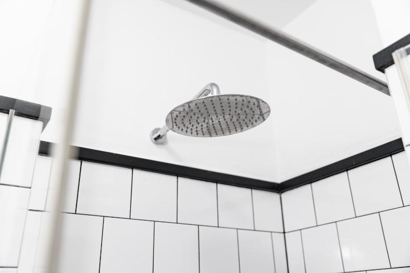 Bunk Bed in 12-Bed Mixed Dormitory image 2