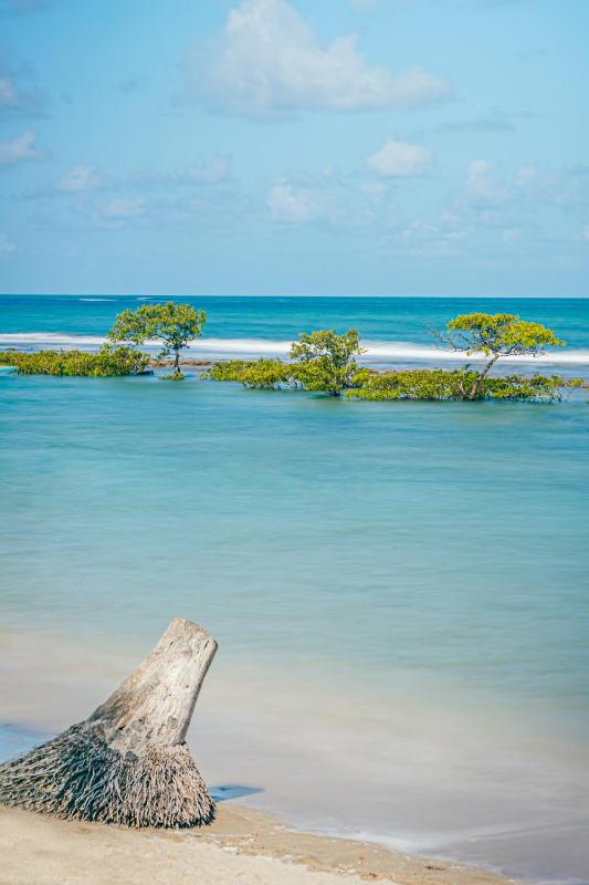 Pontal dos Carneiros Beach Bungalows - image 9