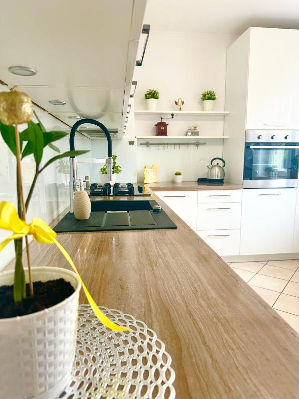 Deluxe Studio image 4