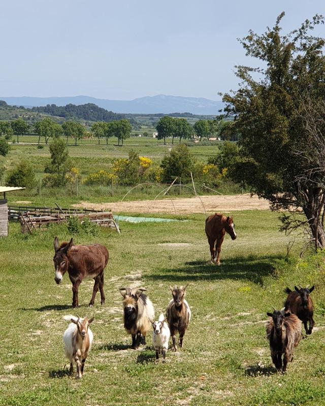 Domaine de l'Envolée - image 4
