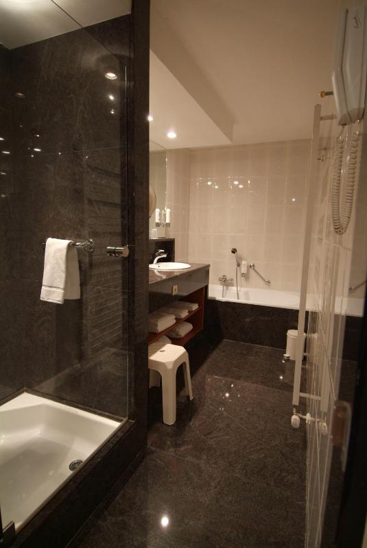 Suite with Lake View image 2