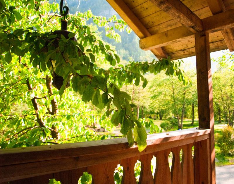 Tree House with external shared bathroom - La Bohème -adults only image 4