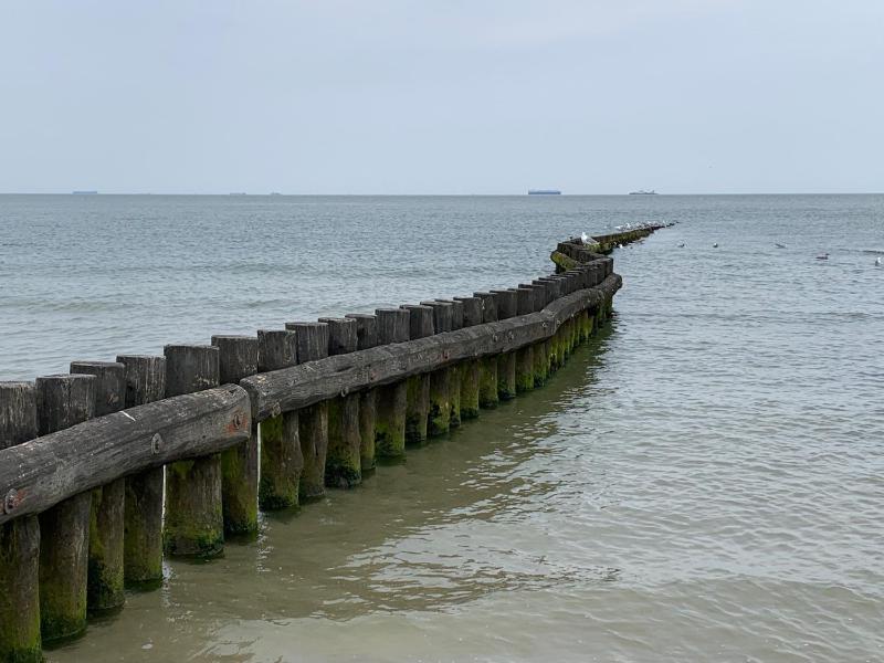Res a Ros 26 - image 15