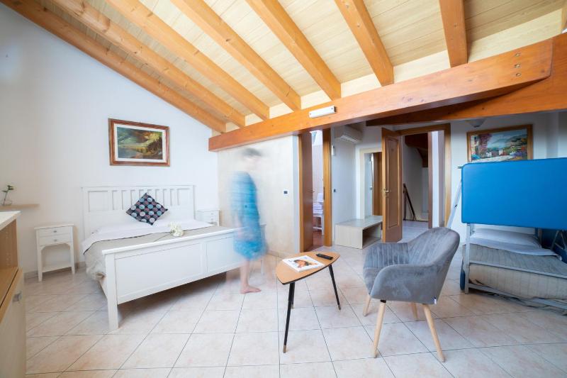 Family Room - Attic image 4