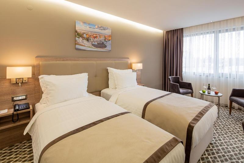 Premier Twin Room  image 3