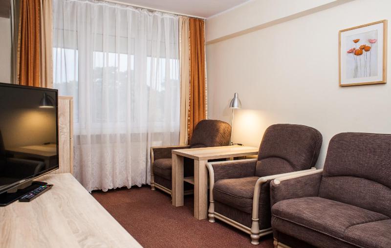One-Bedroom Apartment image 3