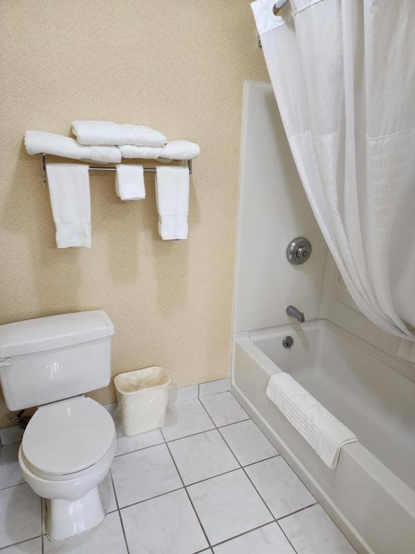 King Suite - Non-Smoking image 3