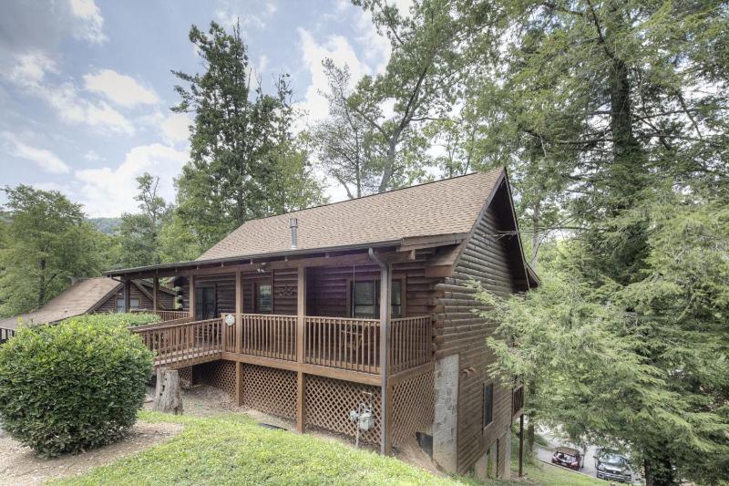 ER223 - Young's Hideaway cabin - image 1