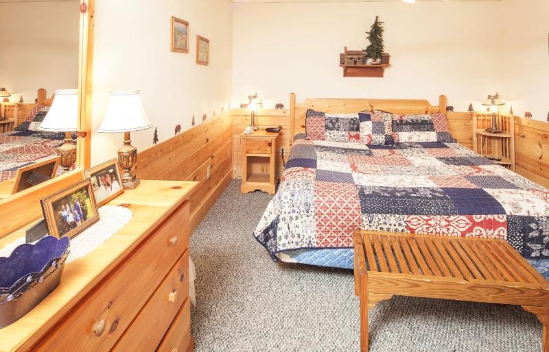 ER223 - Young's Hideaway cabin - image 11