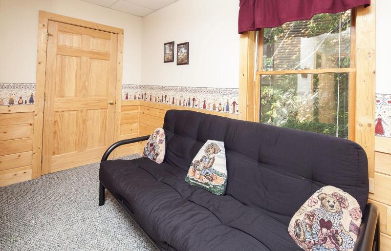 ER223 - Young's Hideaway cabin - image 16