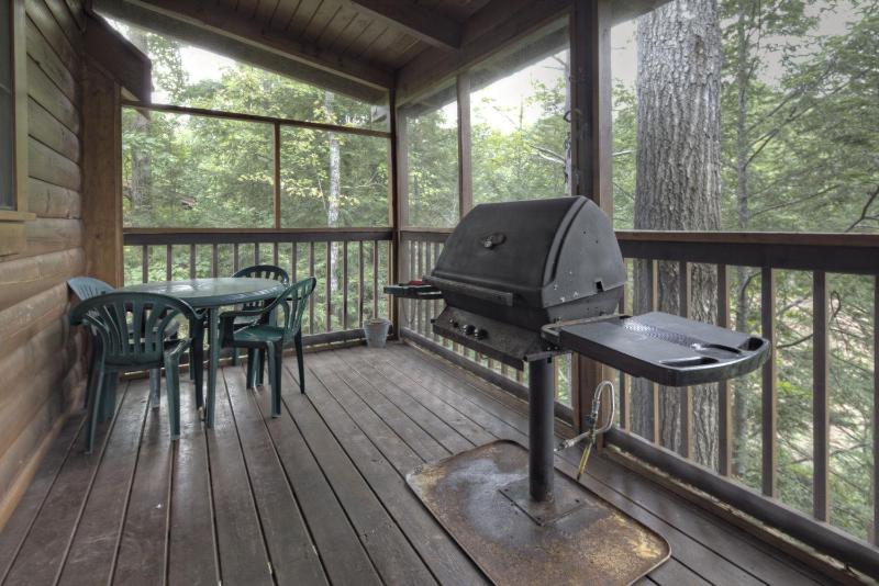 ER223 - Young's Hideaway cabin - image 19