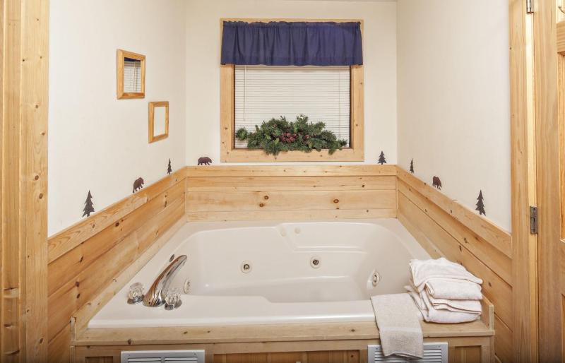 ER223 - Young's Hideaway cabin - image 20