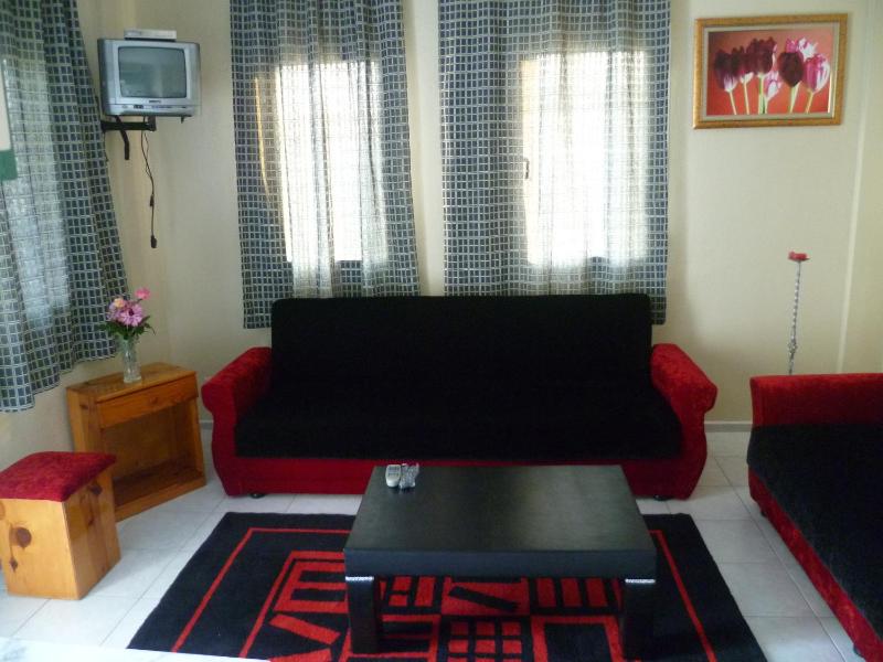 One-Bedroom Apartment image 2