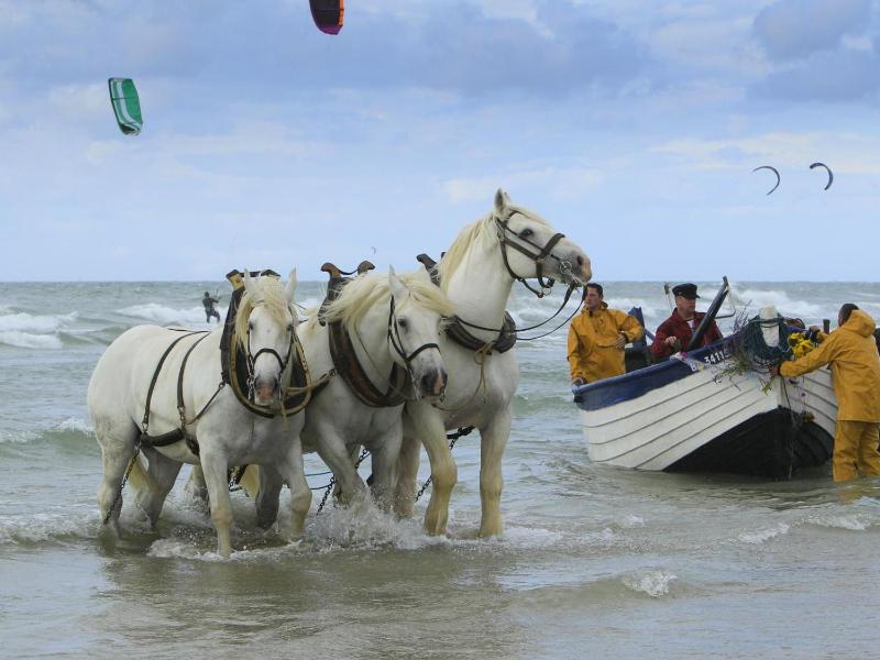 Apartment (2 Adults) image 2