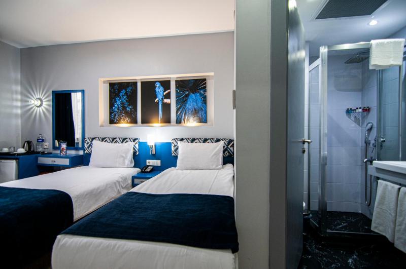 Standard Twin Room image 4