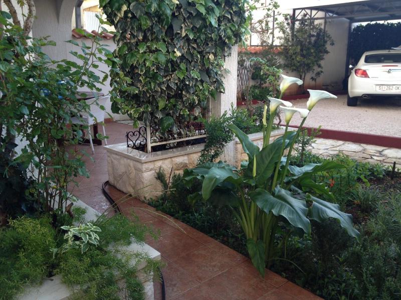 Apartment - Ground Floor image 3