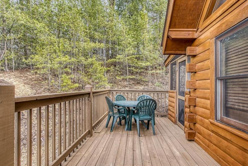 ER239 - Sleepy Bear cabin - image 24