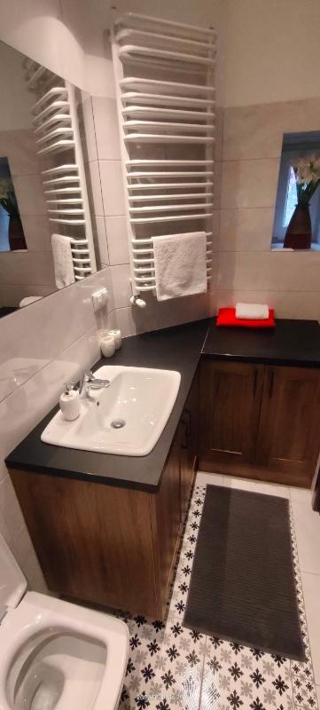 Lovely apartment on Dyrekcyjna street! In the very center of Katowice! - image 3