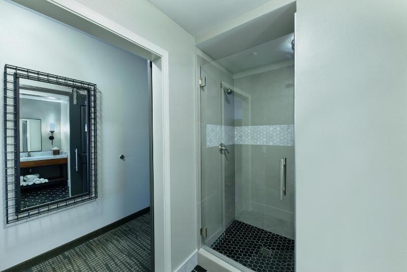 King Suite Walk-In Shower image 3