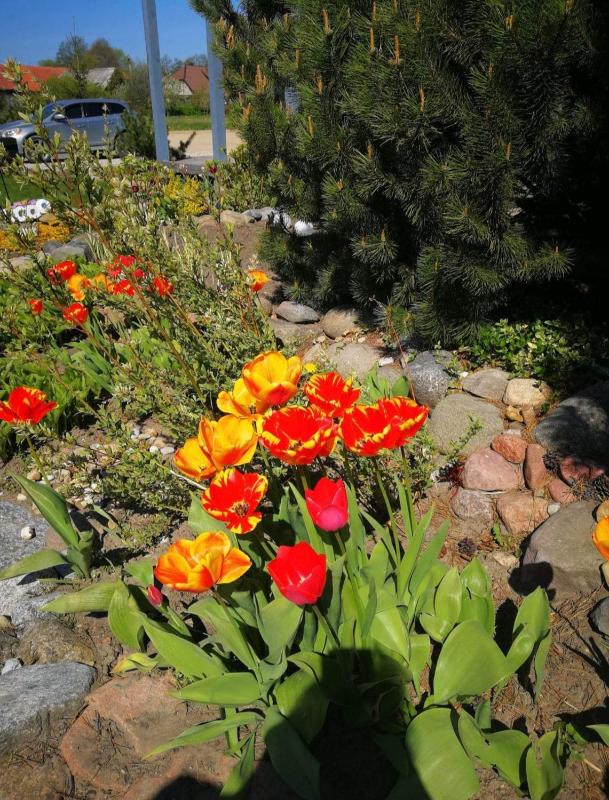 Triple Room with Balcony image 3