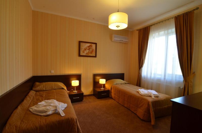 Standard Twin Room image 2