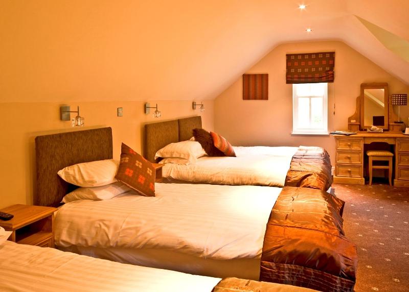 Classic Twin Room image 1