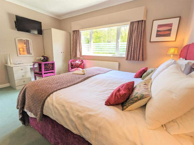 Standard Double or Twin Room image 3