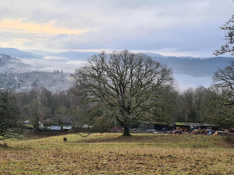 Heart of Windermere - image 18