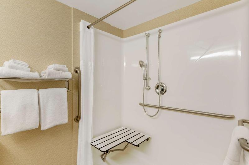 King Room with Mobility Accessible Roll-In Shower image 2