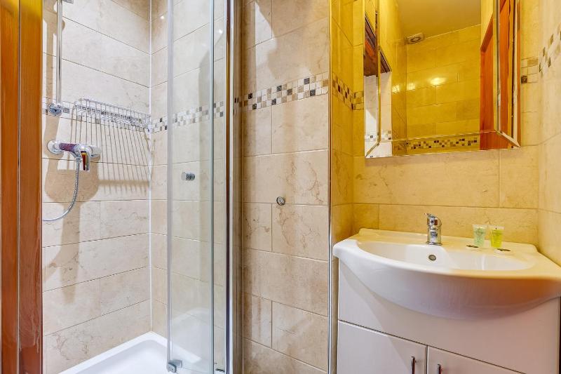 Single Room image 4