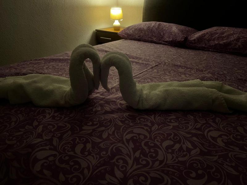 Apartmani Sunce - image 2