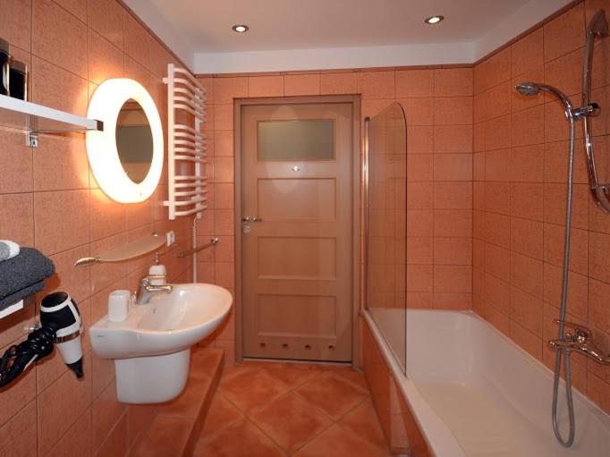 One-Bedroom Apartment image 4