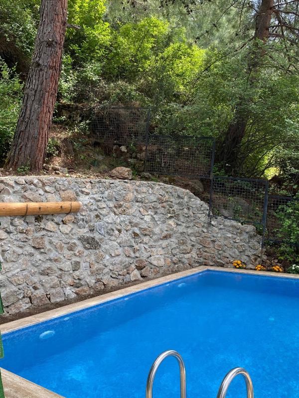 Watermill Hotel - image 33