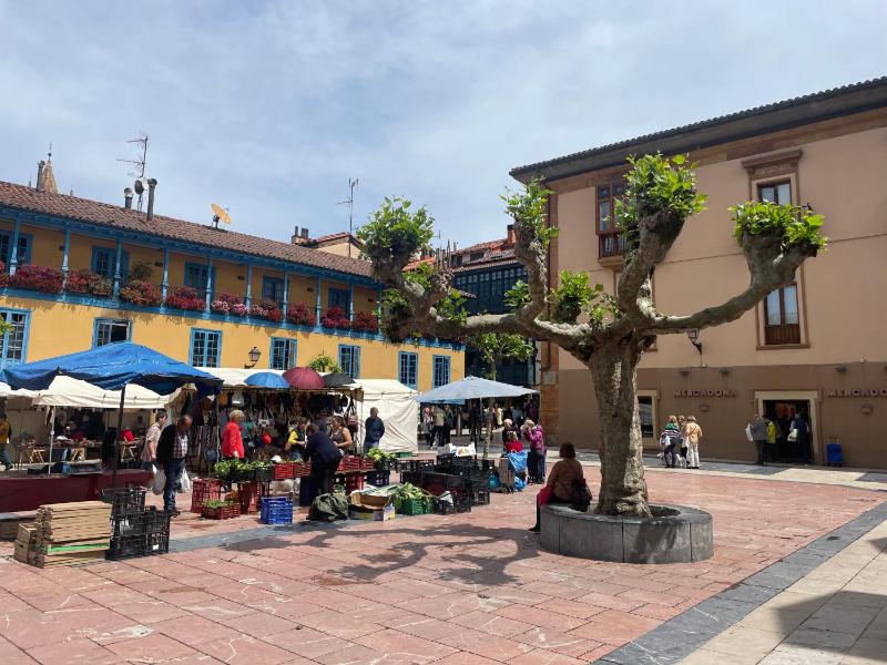 Loft en el mercado del Fontan - image 8