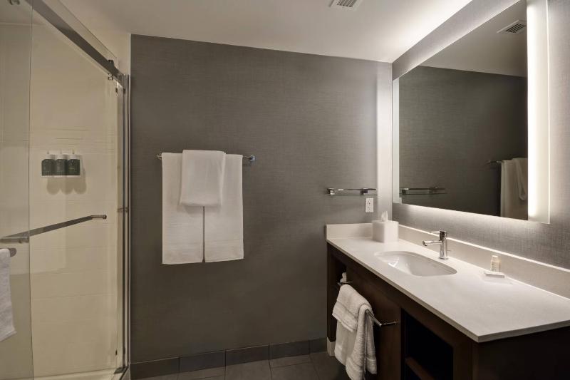 Residence Inn by Marriott New Orleans French Quarter Area/Central Business District - image 2