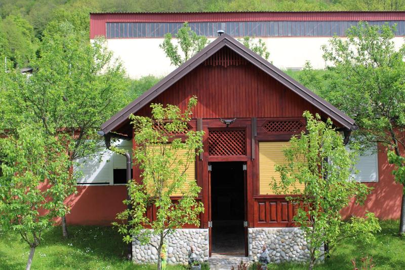 Studio with Garden View image 3
