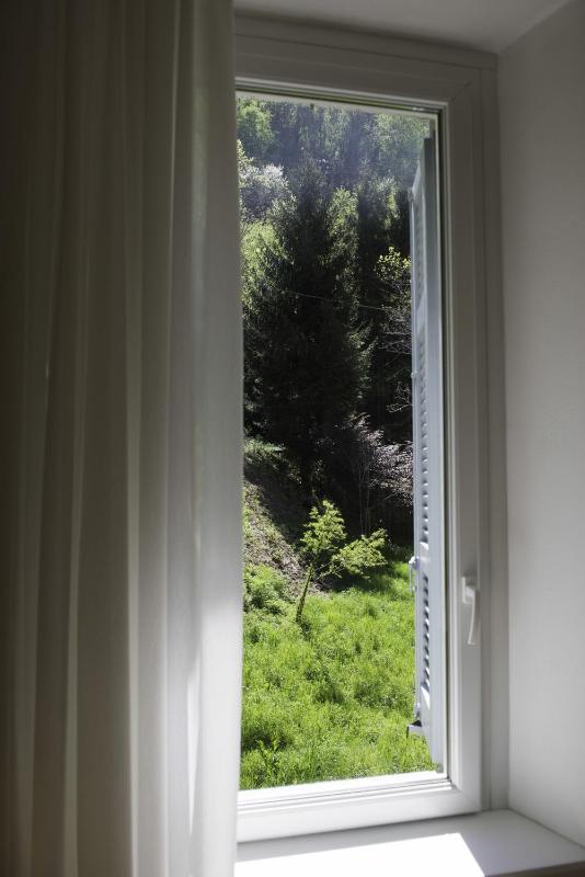 Double or Twin Room with Mountain View image 1