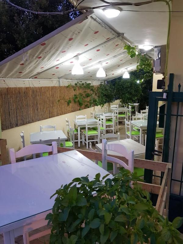 IL MIO - image 5