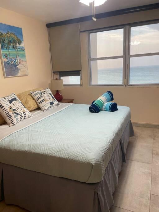 One-Bedroom Apartment image 2