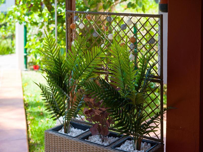 Bungalow Tunos Maspalomas - image 21