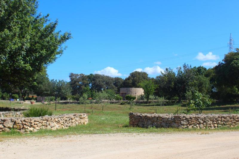 One-Bedroom Apartment image 2