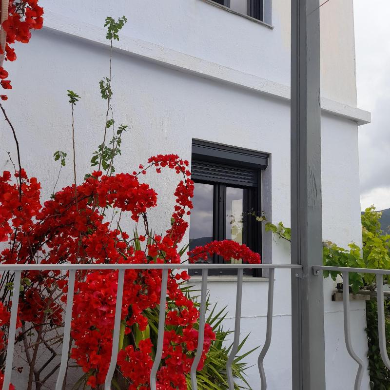 Kastro Studios - image 29