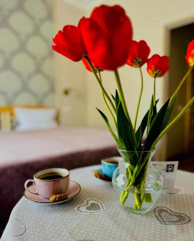 Standard Double or Twin Room with Balcony image 1