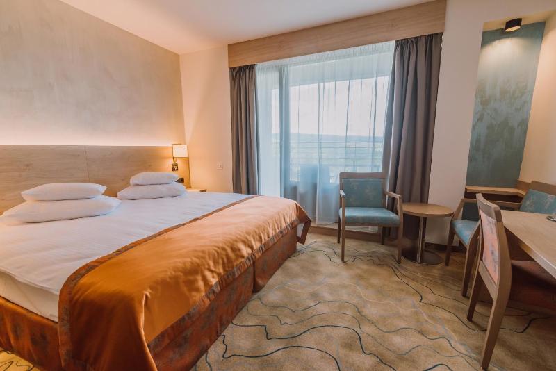 Superior Double Room image 4