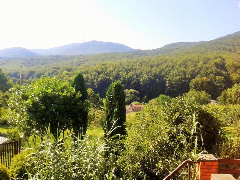 Apartment with Mountain View image 3